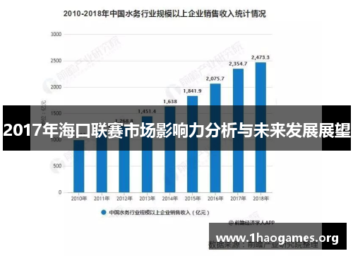 2017年海口联赛市场影响力分析与未来发展展望
