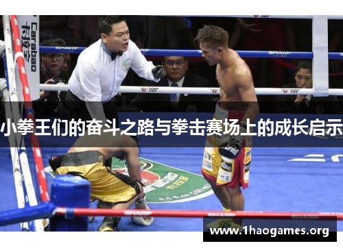 小拳王们的奋斗之路与拳击赛场上的成长启示