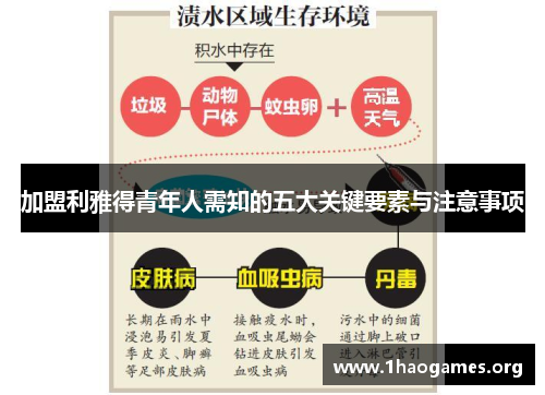 加盟利雅得青年人需知的五大关键要素与注意事项