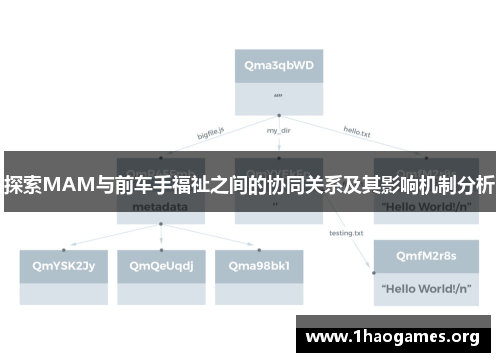 探索MAM与前车手福祉之间的协同关系及其影响机制分析