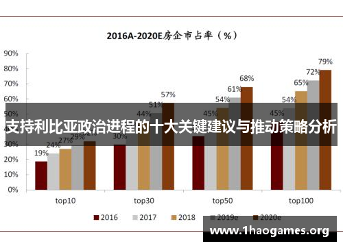 支持利比亚政治进程的十大关键建议与推动策略分析
