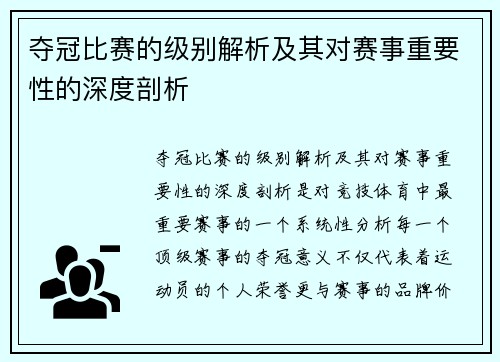 夺冠比赛的级别解析及其对赛事重要性的深度剖析
