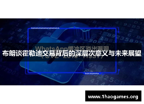 布朗谈霍勒迪交易背后的深层次意义与未来展望